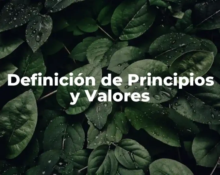 Definición de Principios y Valores
