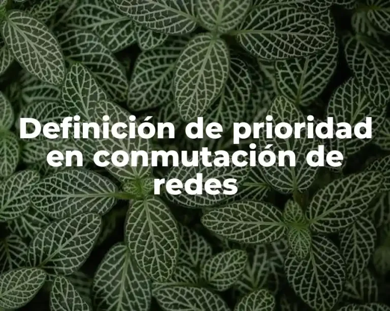 Definición de prioridad en conmutación de redes