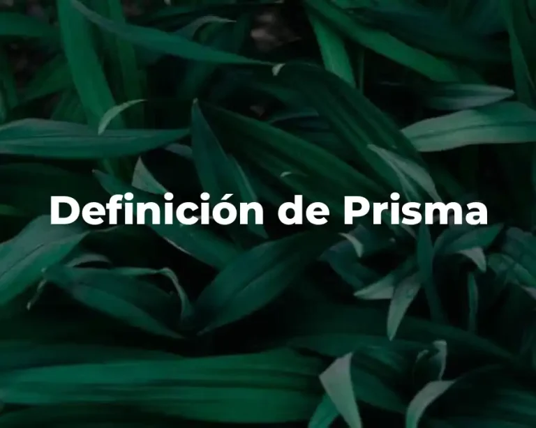 Definición de Prisma