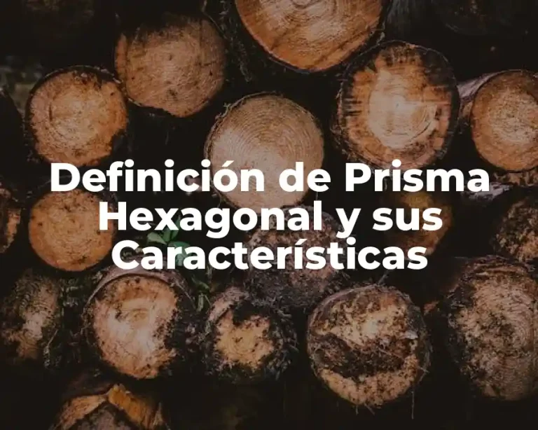 Definición de Prisma Hexagonal y sus Características