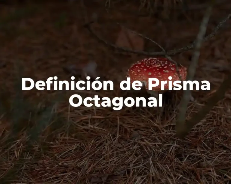 Definición de Prisma Octagonal