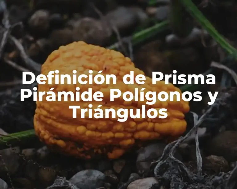 Definición de Prisma Pirámide Polígonos y Triángulos