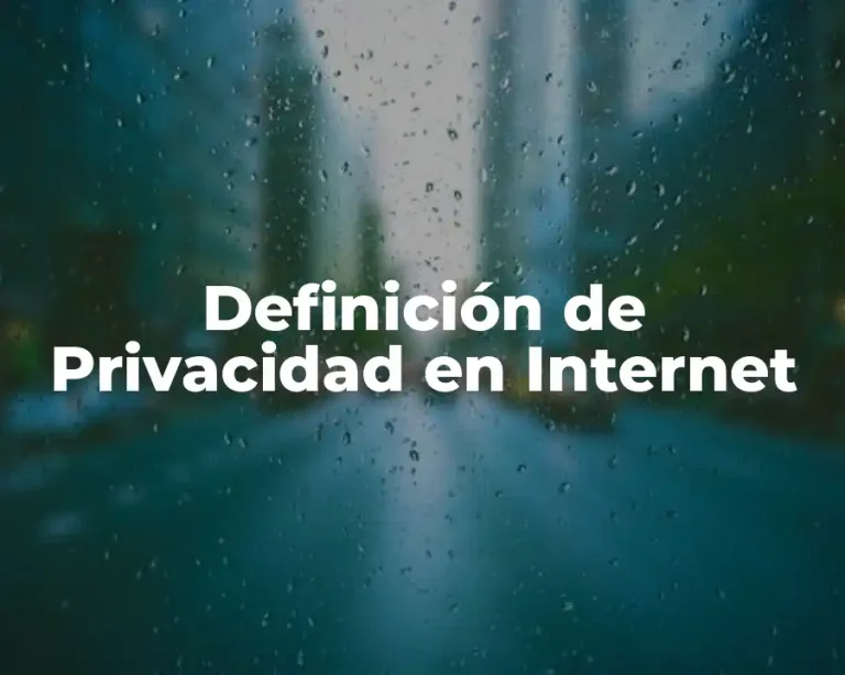 Definición de Privacidad en Internet