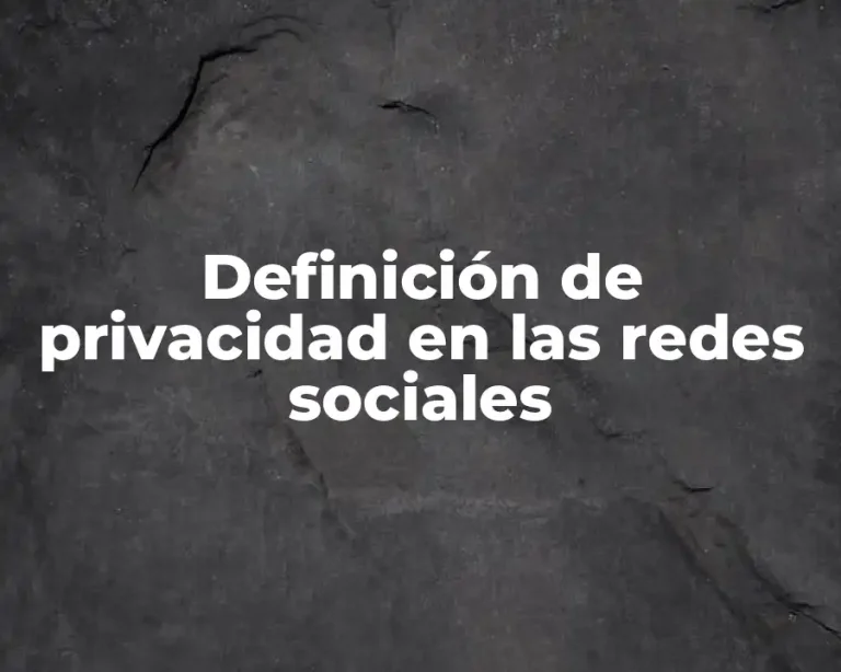 Definición de privacidad en las redes sociales