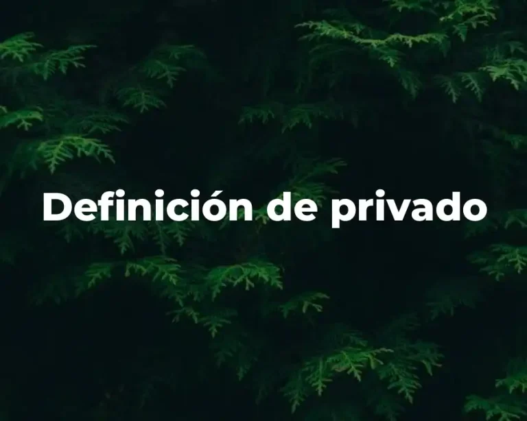 Definición de privado