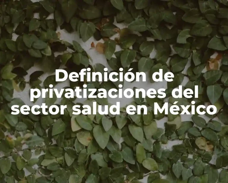 Definición de privatizaciones del sector salud en México