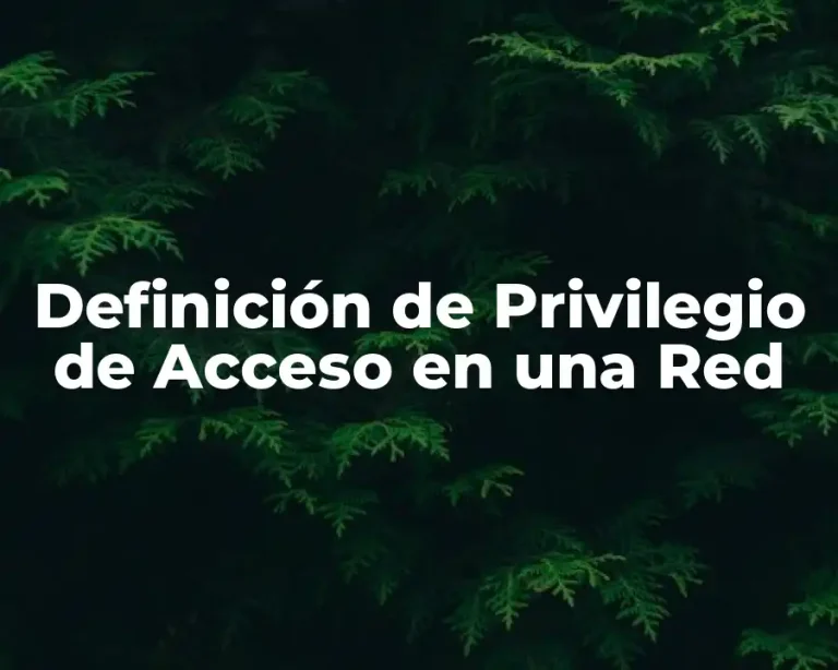 Definición de Privilegio de Acceso en una Red