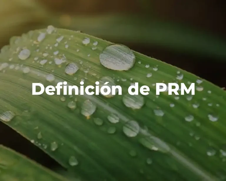 Definición de PRM
