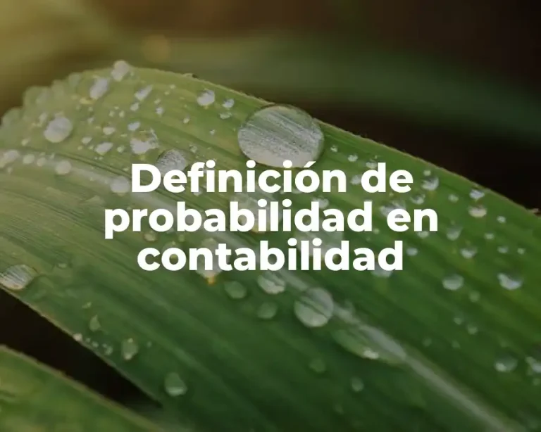 Definición de probabilidad en contabilidad