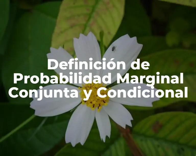 Definición de Probabilidad Marginal Conjunta y Condicional