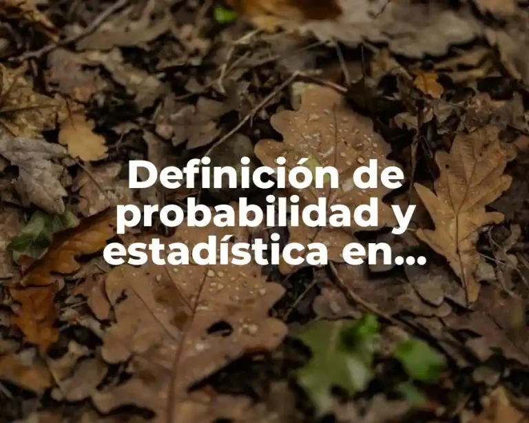 Definición de probabilidad y estadística en matemáticas