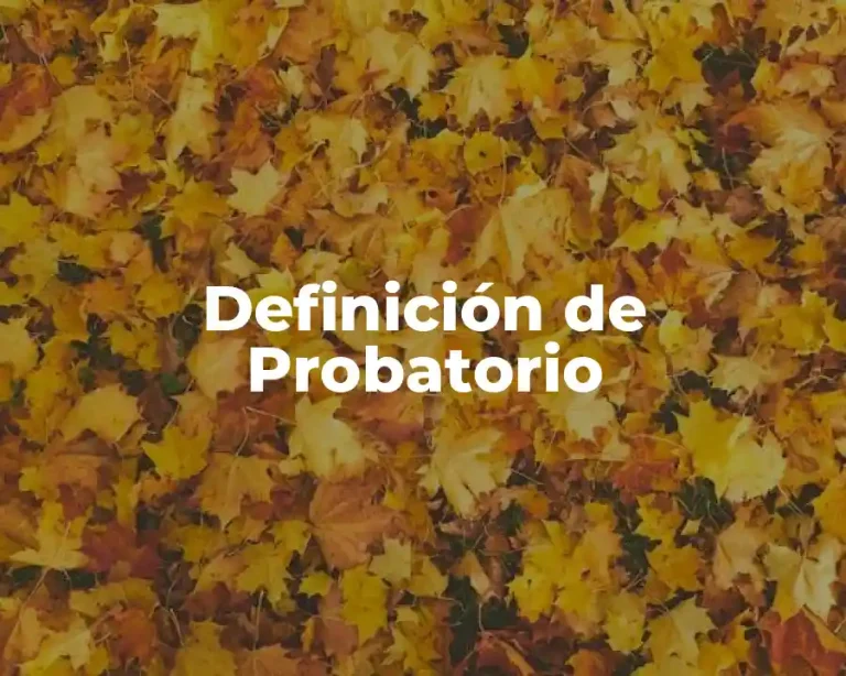Definición de Probatorio