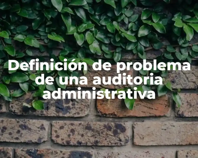 Definición de problema de una auditoria administrativa