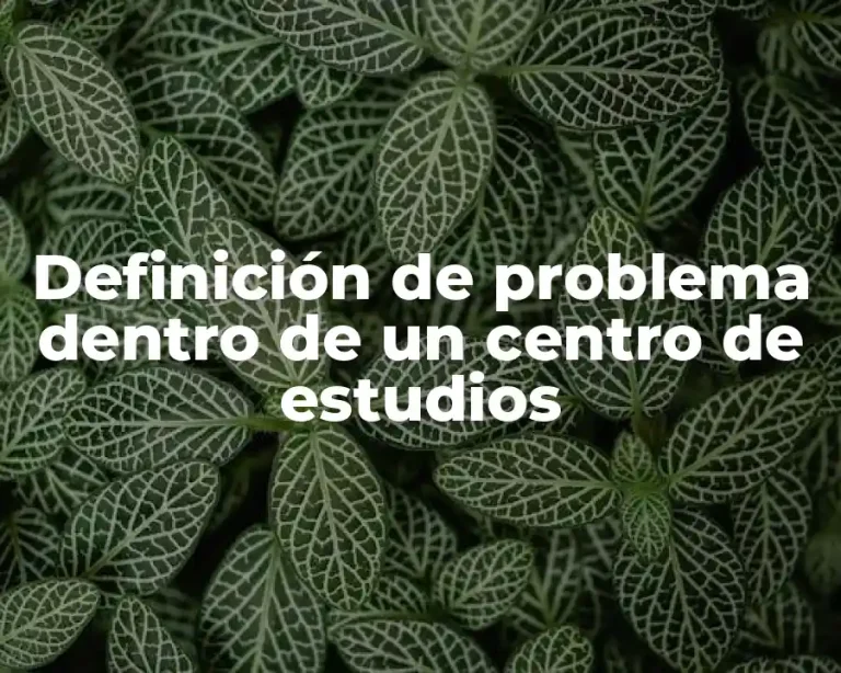 Definición de problema dentro de un centro de estudios