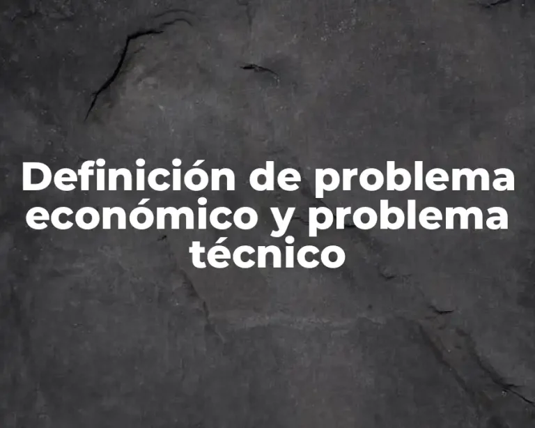 Definición de problema económico y problema técnico