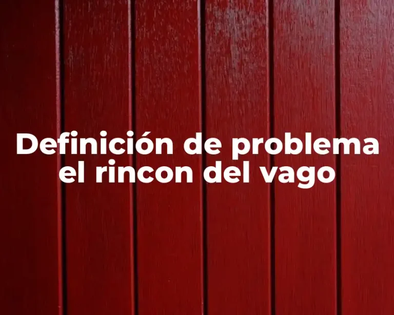 Definición de problema el rincon del vago