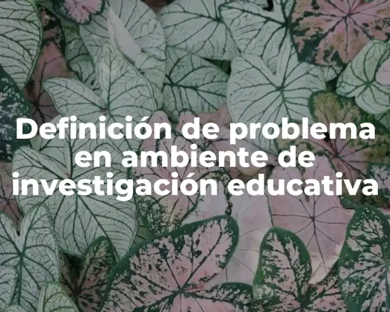 Definición de problema en ambiente de investigación educativa