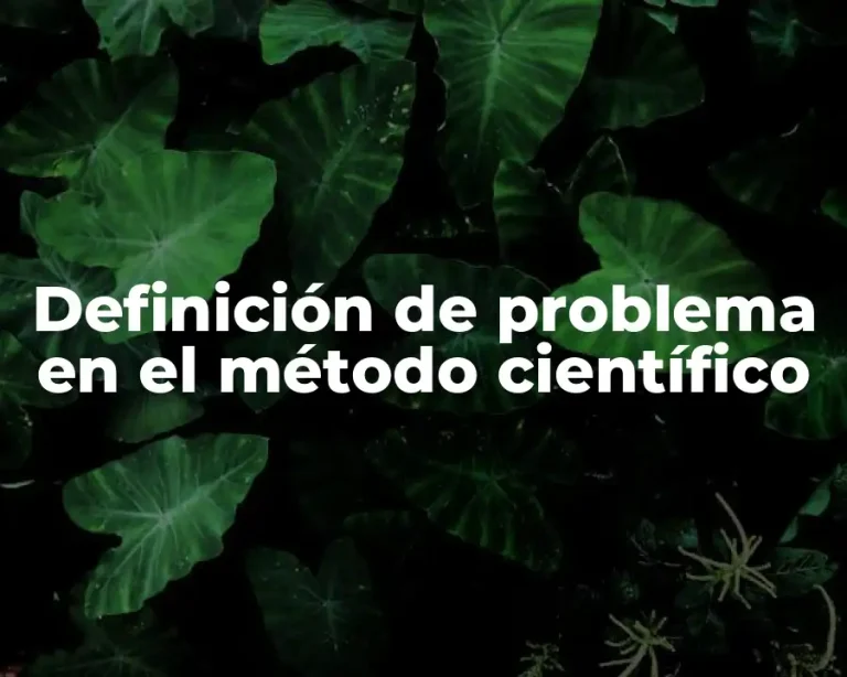 Definición de problema en el método científico