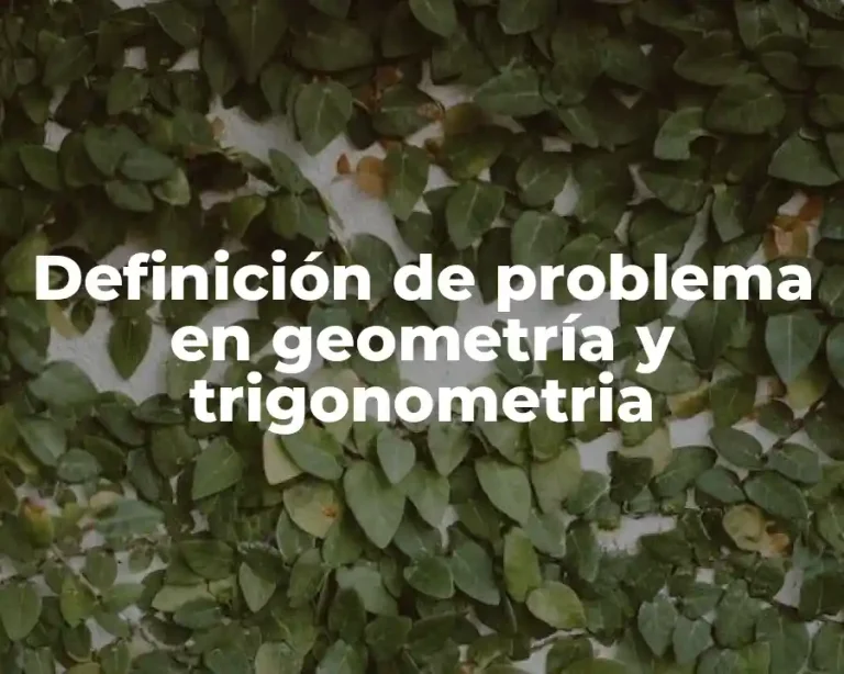 Definición de problema en geometría y trigonometria