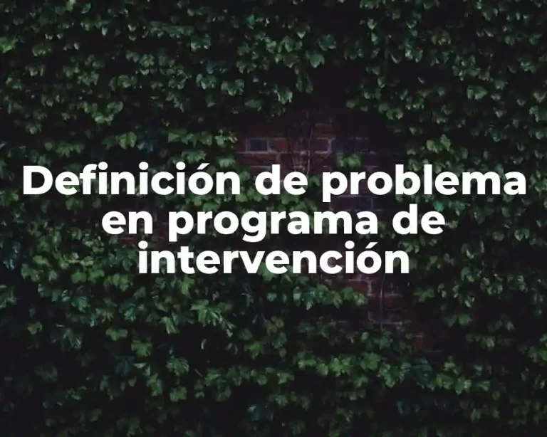 Definición de problema en programa de intervención