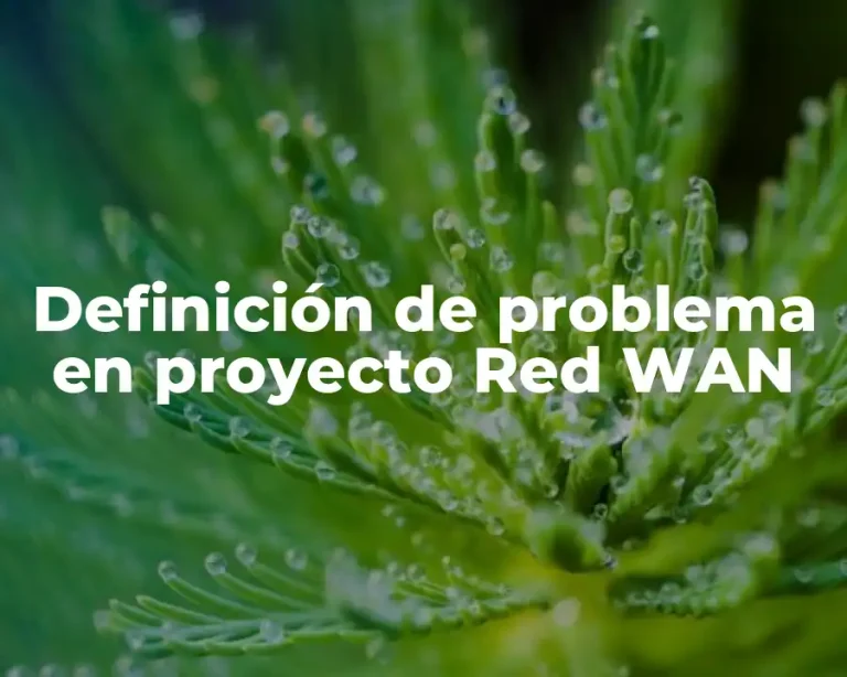 Definición de problema en proyecto Red WAN