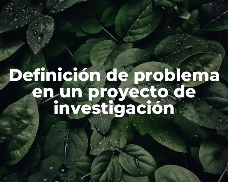 Definición de problema en un proyecto de investigación