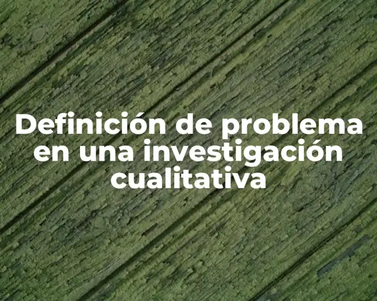 Definición de problema en una investigación cualitativa