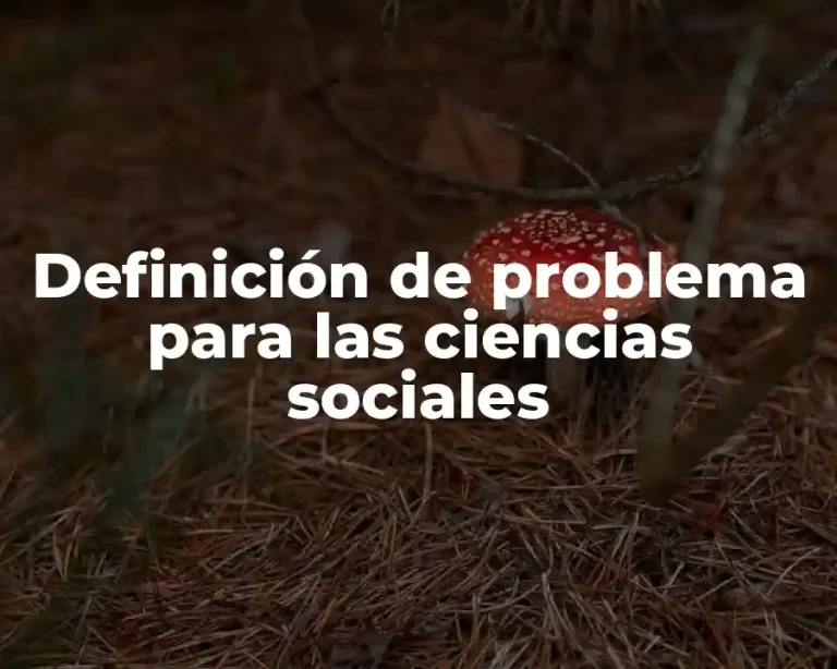 Definición de problema para las ciencias sociales