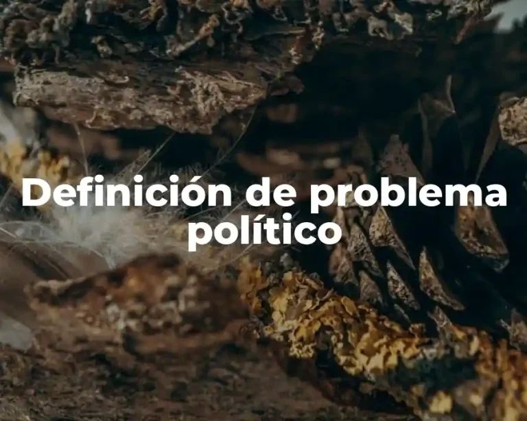 Definición de problema político