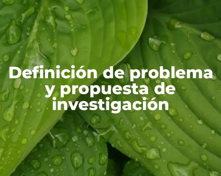 Definición de problema y propuesta de investigación