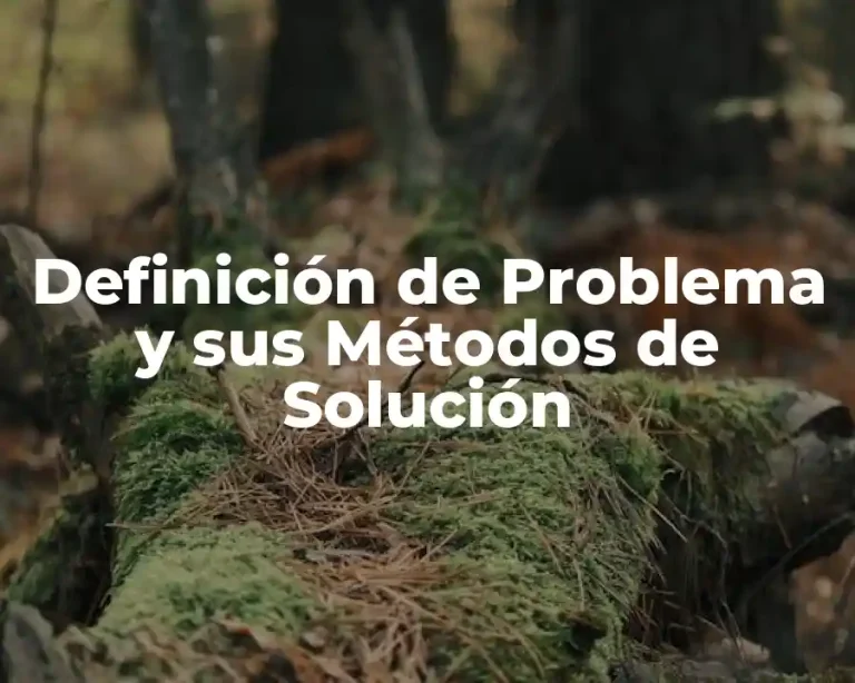 Definición de Problema y sus Métodos de Solución
