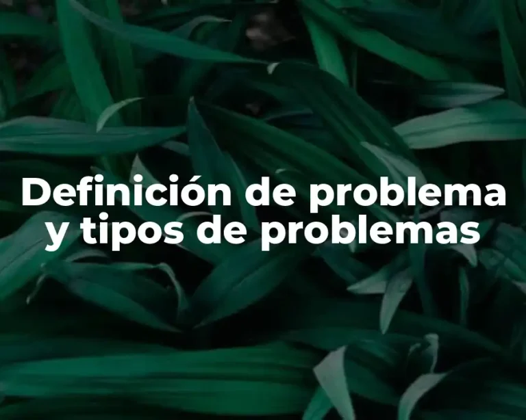 Definición de problema y tipos de problemas
