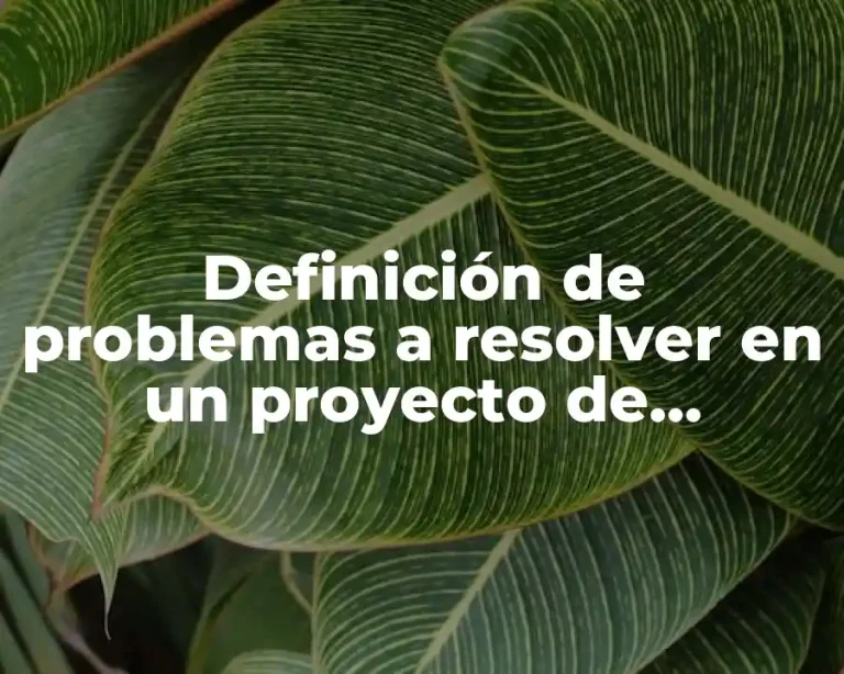 Definición de problemas a resolver en un proyecto de residencias