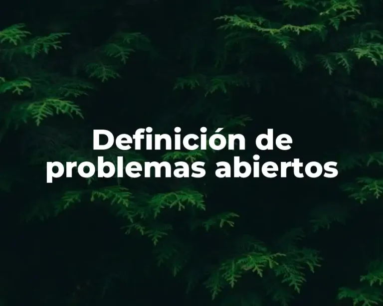 Definición de problemas abiertos