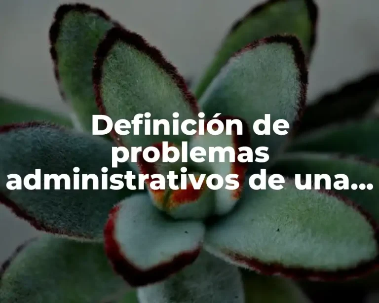 Definición de problemas administrativos de una empresa