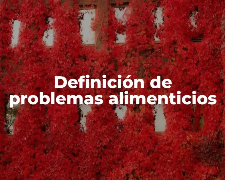 Definición de problemas alimenticios