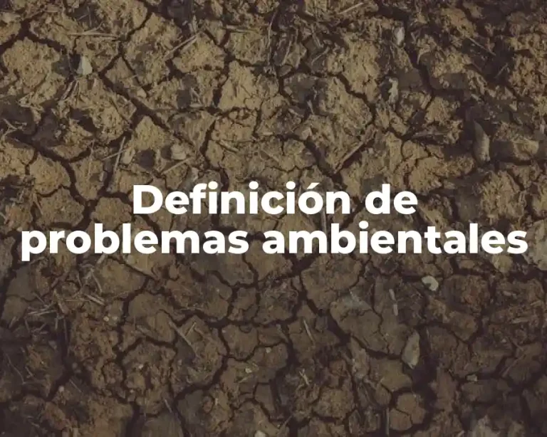 Definición de problemas ambientales