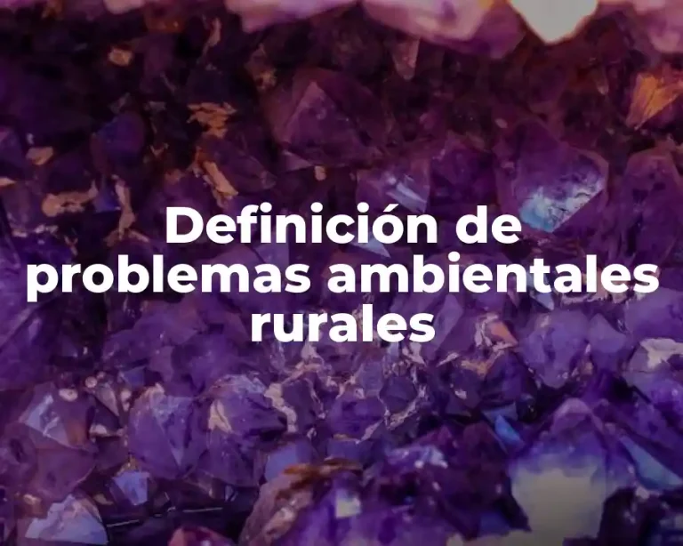 Definición de problemas ambientales rurales