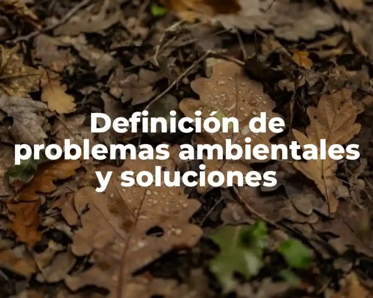 Definición de problemas ambientales y soluciones