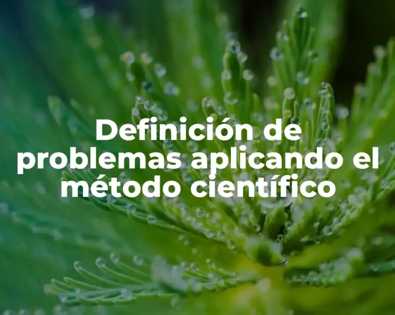 Definición de problemas aplicando el método científico