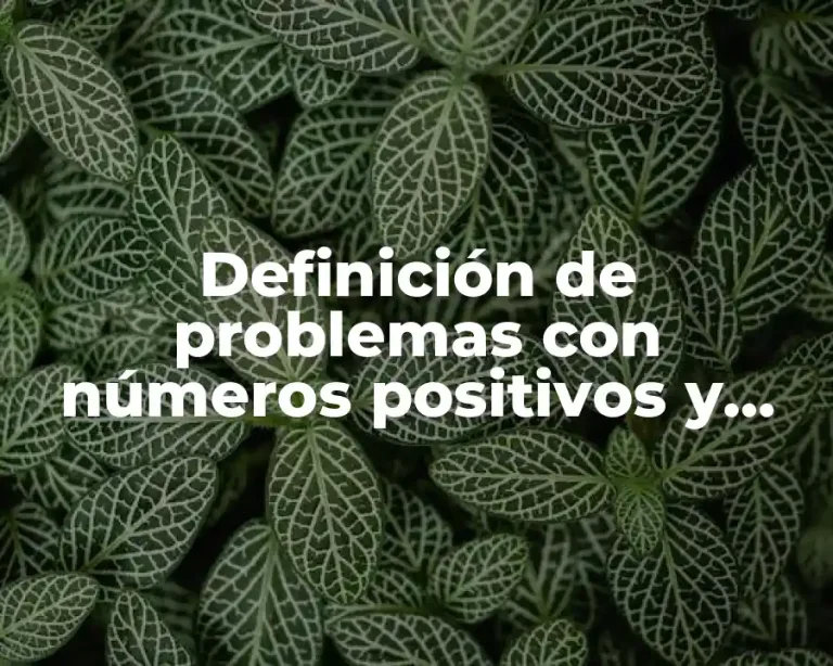 Definición de problemas con números positivos y negativos