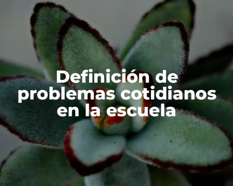 Definición de problemas cotidianos en la escuela