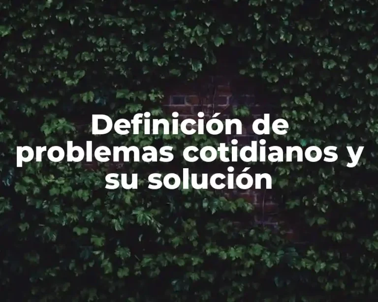 Definición de problemas cotidianos y su solución