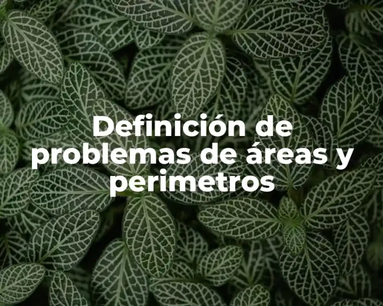 Definición de problemas de áreas y perimetros