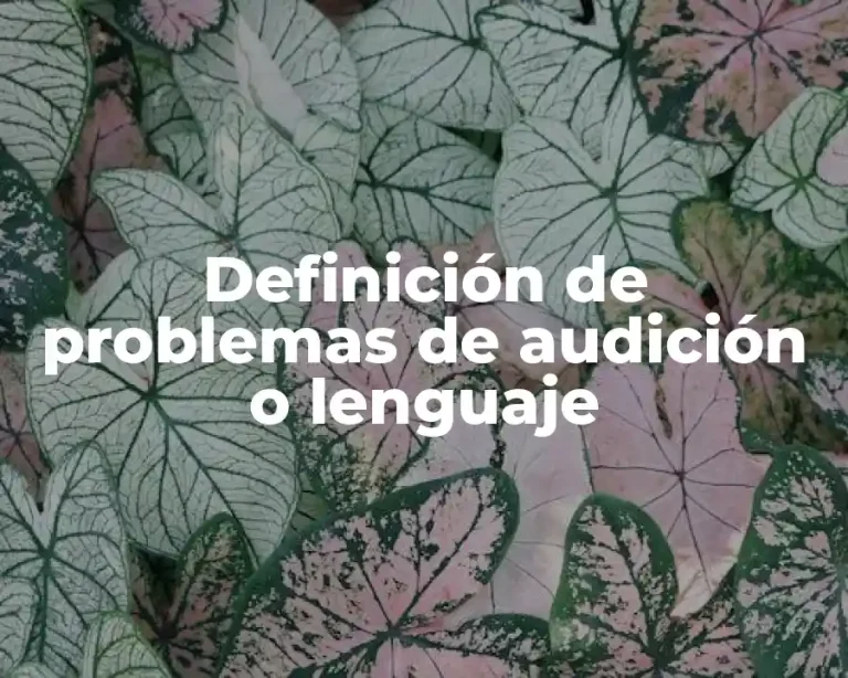 Definición de problemas de audición o lenguaje