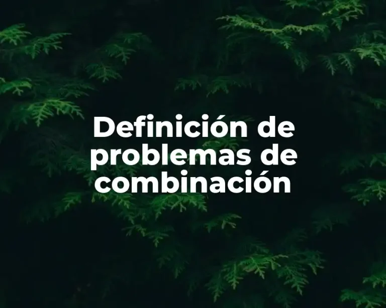 Definición de problemas de combinación