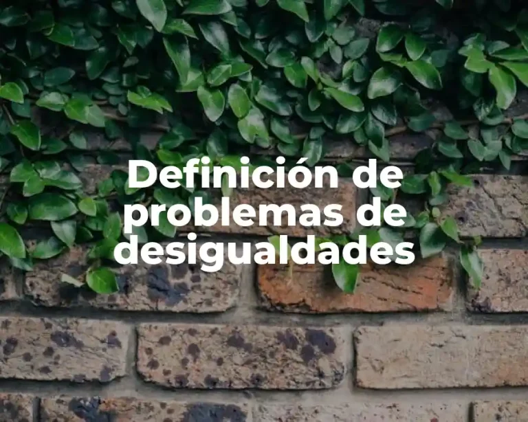 Definición de problemas de desigualdades