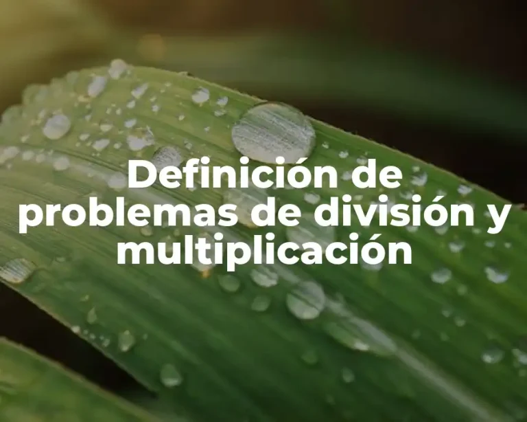 Definición de problemas de división y multiplicación