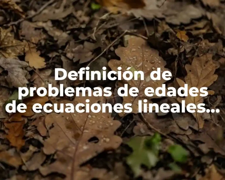 Definición de problemas de edades de ecuaciones lineales con fracciones