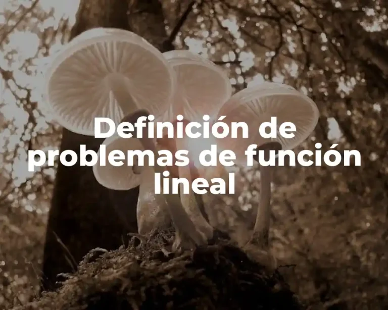 Definición de problemas de función lineal